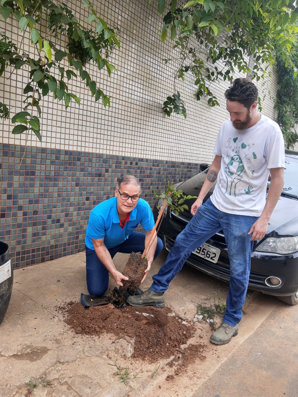 Arborização Urbana - Bairro São Roquinho